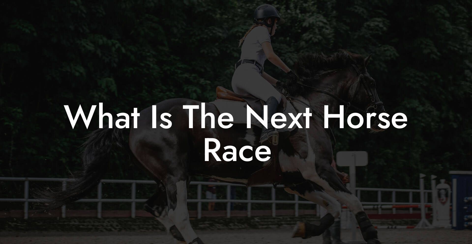 What Is The Next Horse Race How To Own a Horse