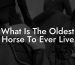 What Is The Oldest Horse To Ever Live