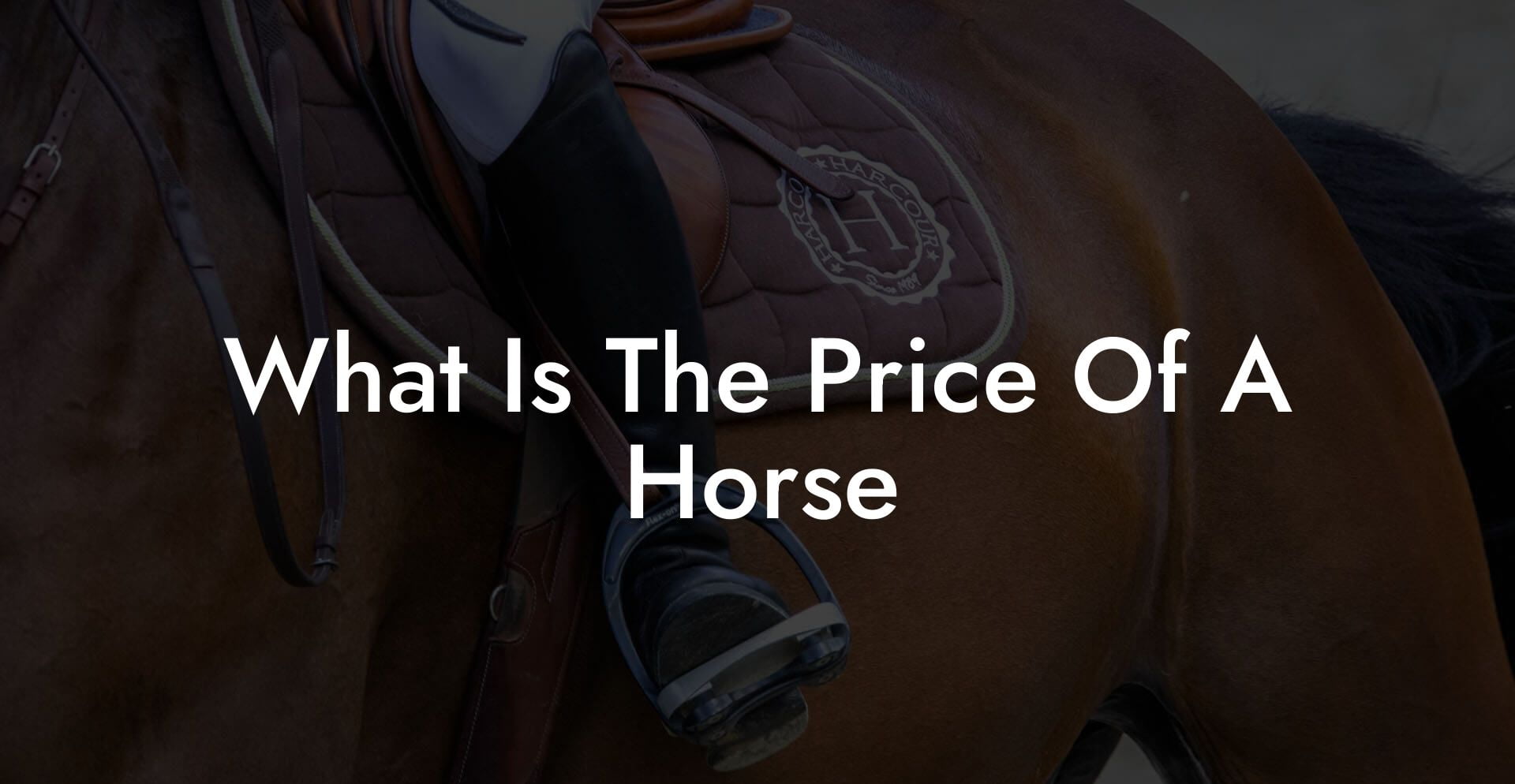 What Is The Price Of A Horse