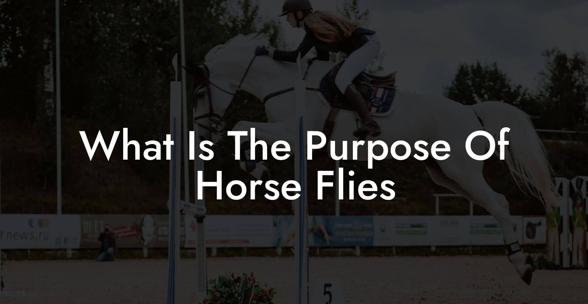 What Is The Purpose Of Horse Flies