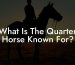 What Is The Quarter Horse Known For?