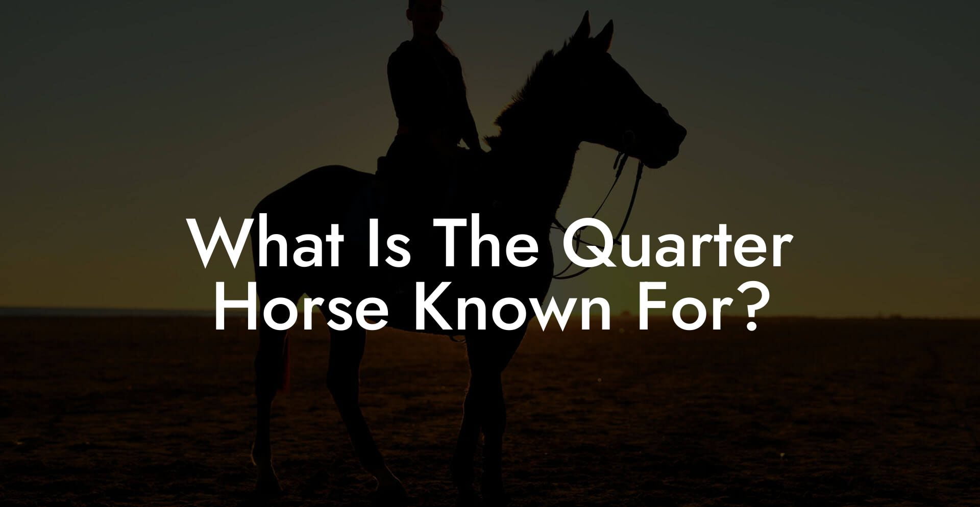 What Is The Quarter Horse Known For?