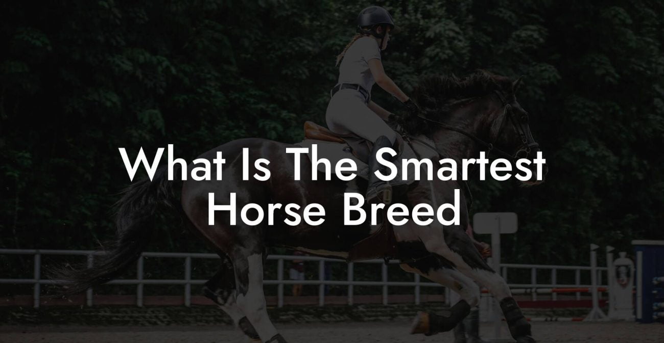 What Is The Smartest Horse Breed