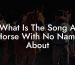 What Is The Song A Horse With No Name About
