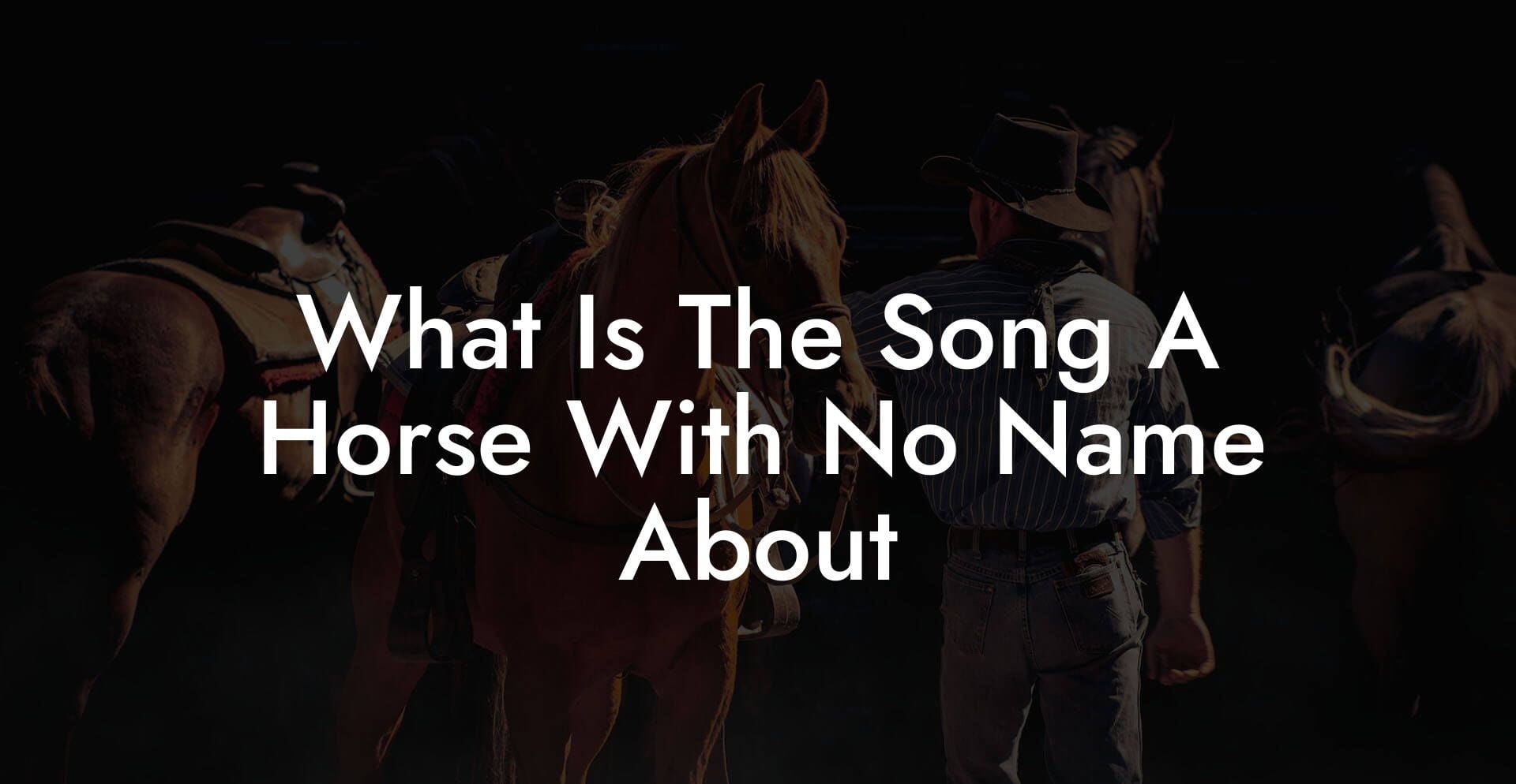 What Is The Song A Horse With No Name About