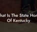 What Is The State Horse Of Kentucky