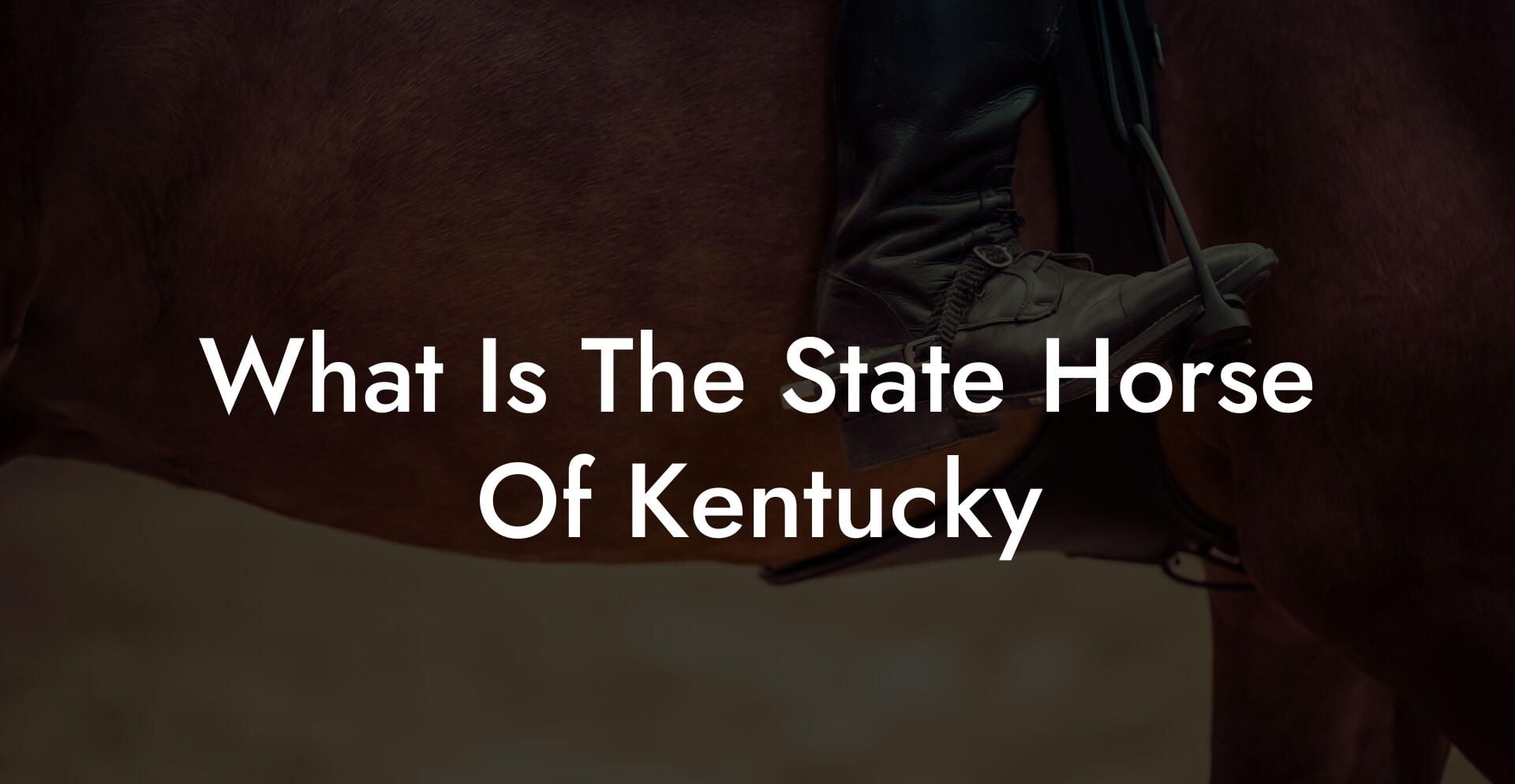 What Is The State Horse Of Kentucky