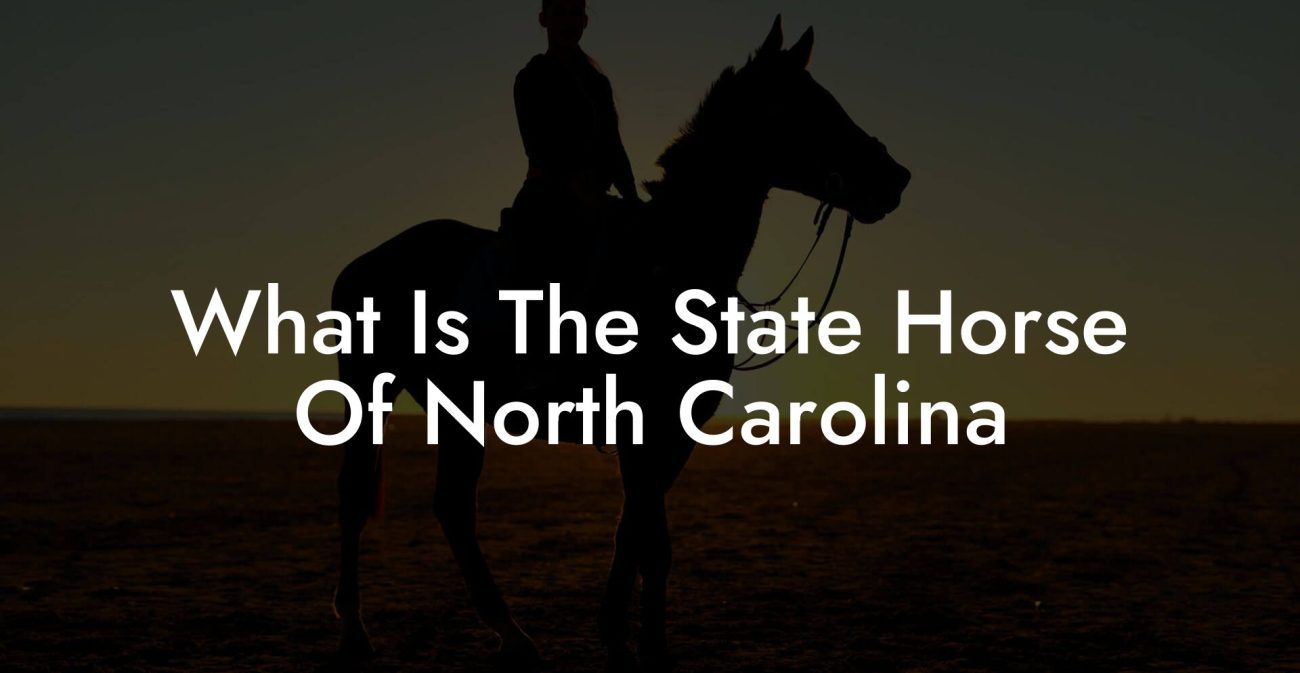 What Is The State Horse Of North Carolina