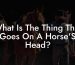 What Is The Thing That Goes On A Horse'S Head?