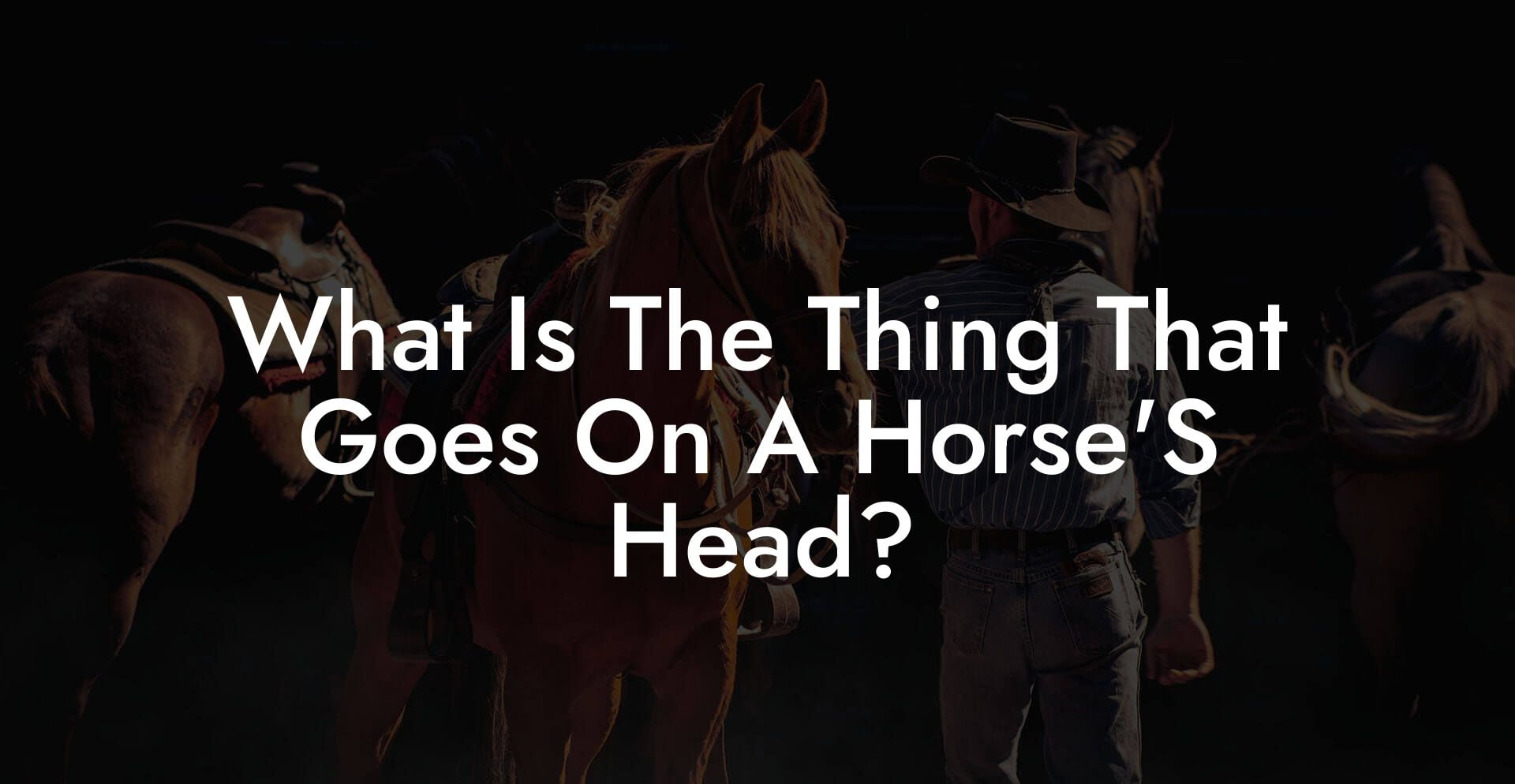 What Is The Thing That Goes On A Horse'S Head?