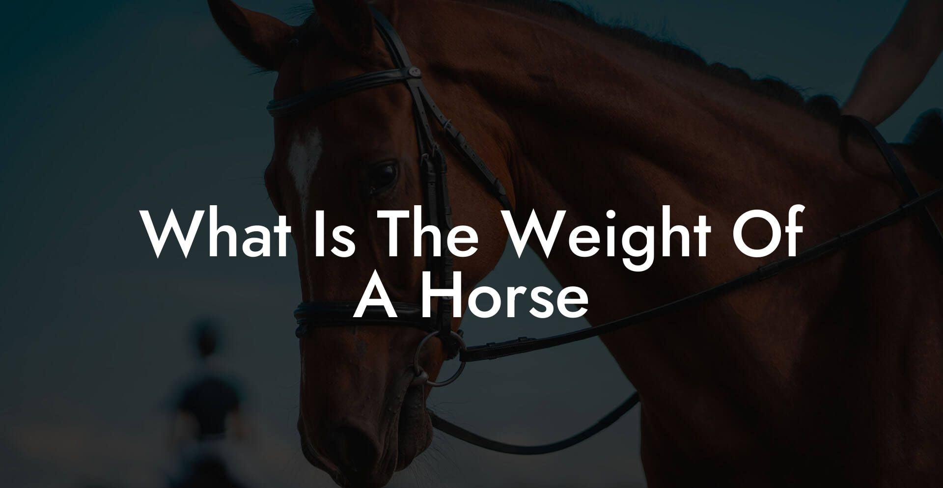 What Is The Weight Of A Horse