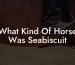What Kind Of Horse Was Seabiscuit