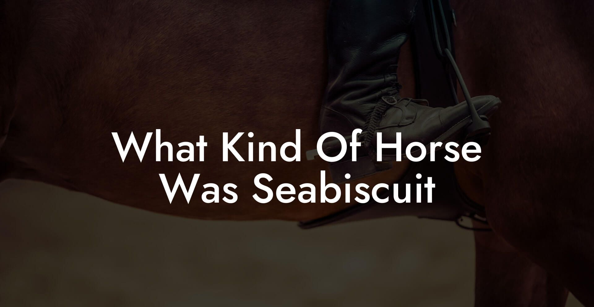 What Kind Of Horse Was Seabiscuit