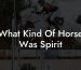 What Kind Of Horse Was Spirit