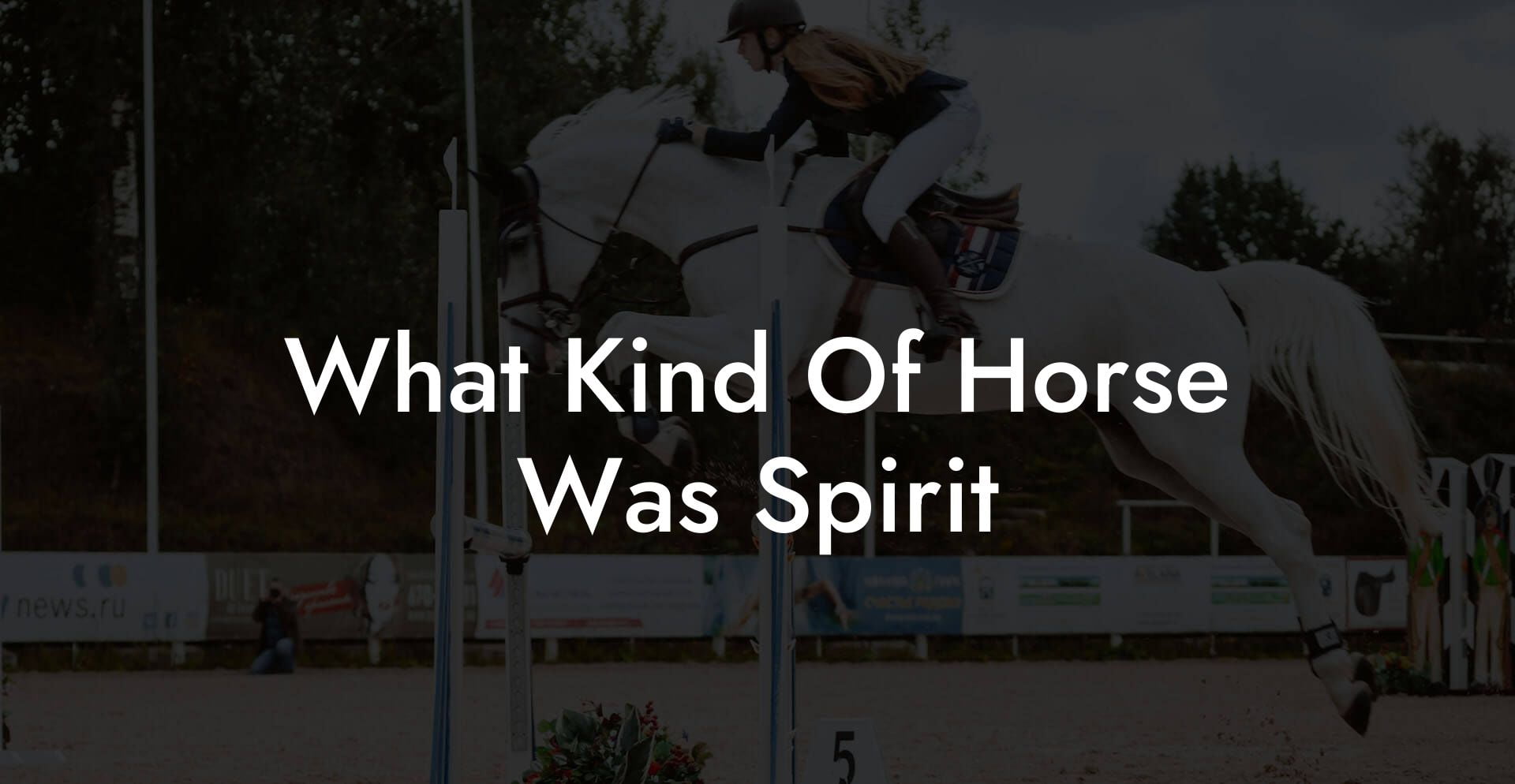 What Kind Of Horse Was Spirit