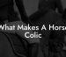 What Makes A Horse Colic