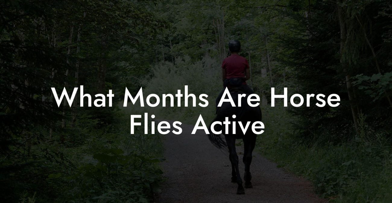 What Months Are Horse Flies Active