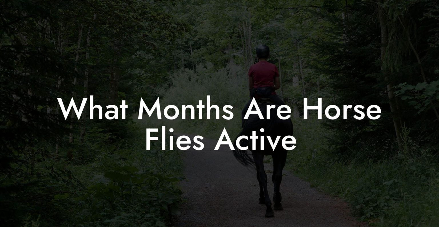 What Months Are Horse Flies Active How To Own a Horse