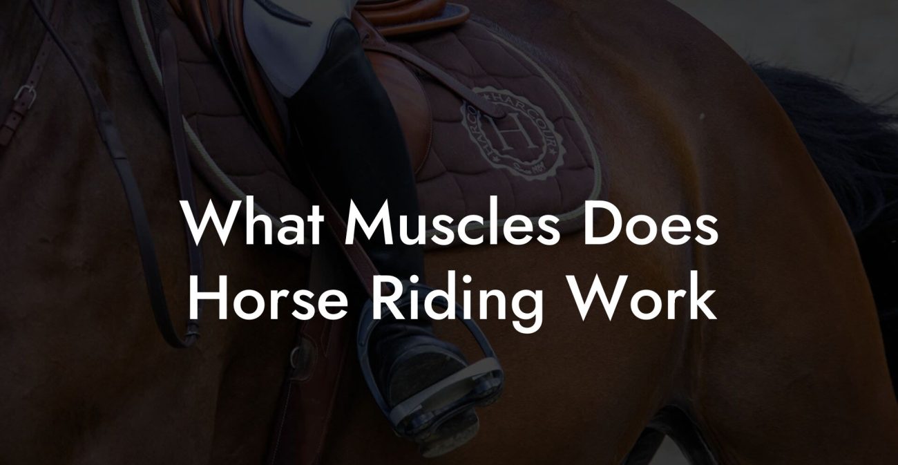 What Muscles Does Horse Riding Work