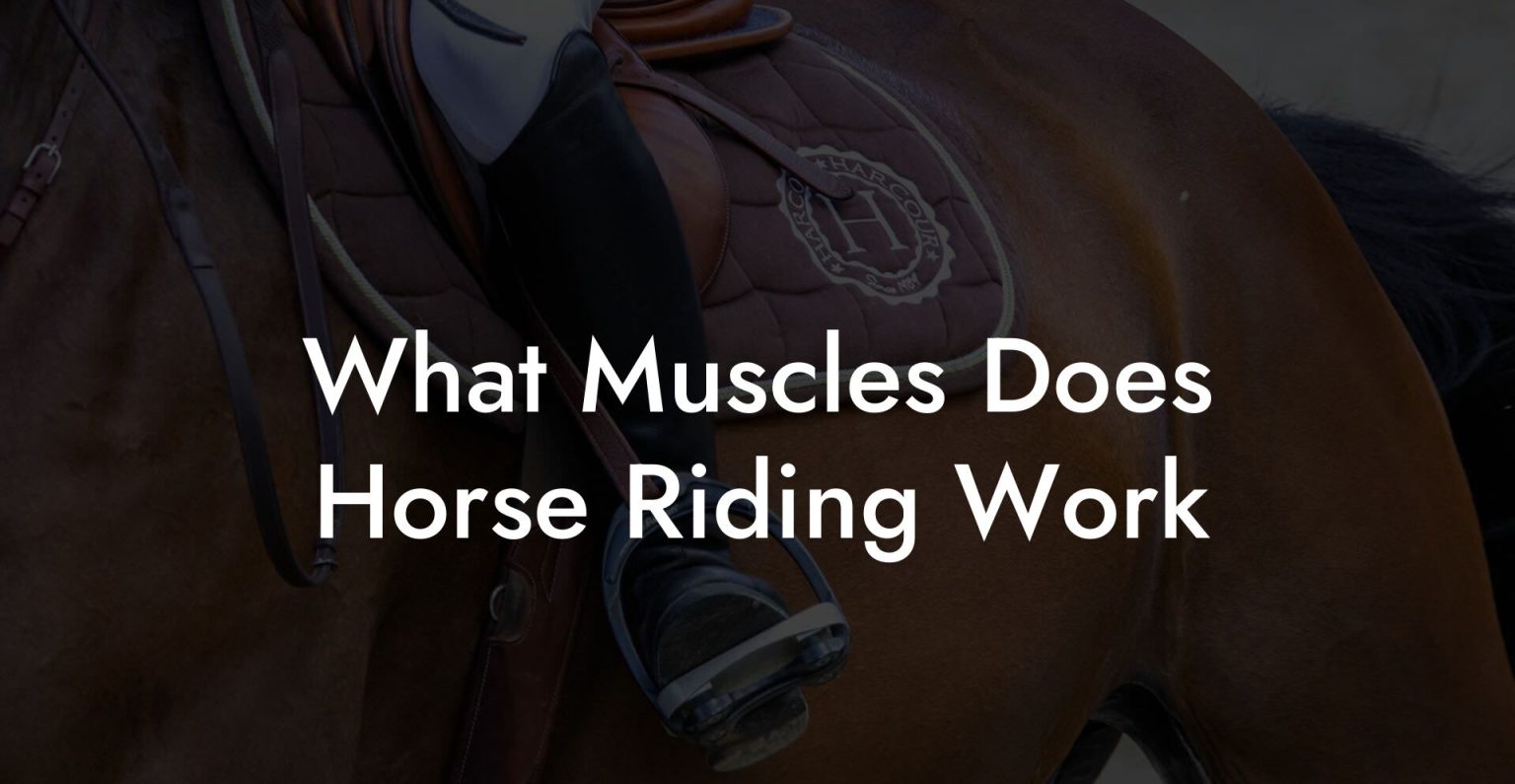 What Muscles Does Horse Riding Work How To Own a Horse