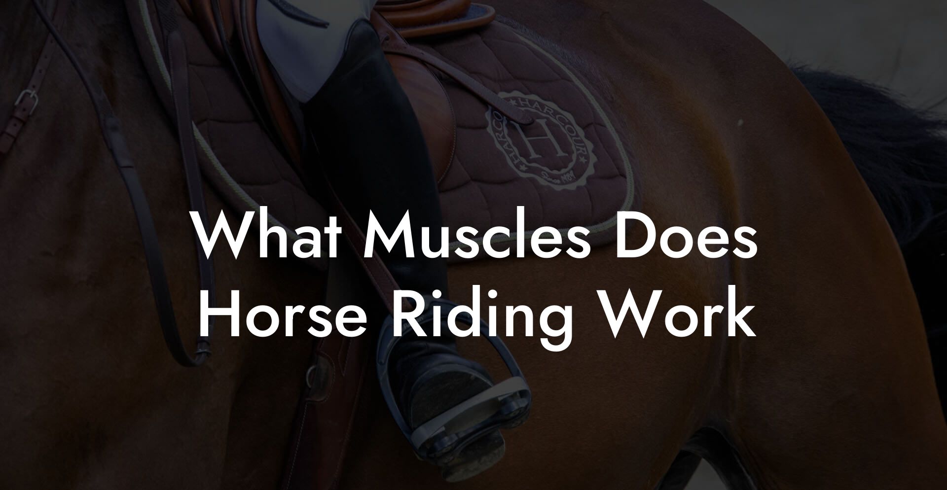 What Muscles Does Horse Riding Work