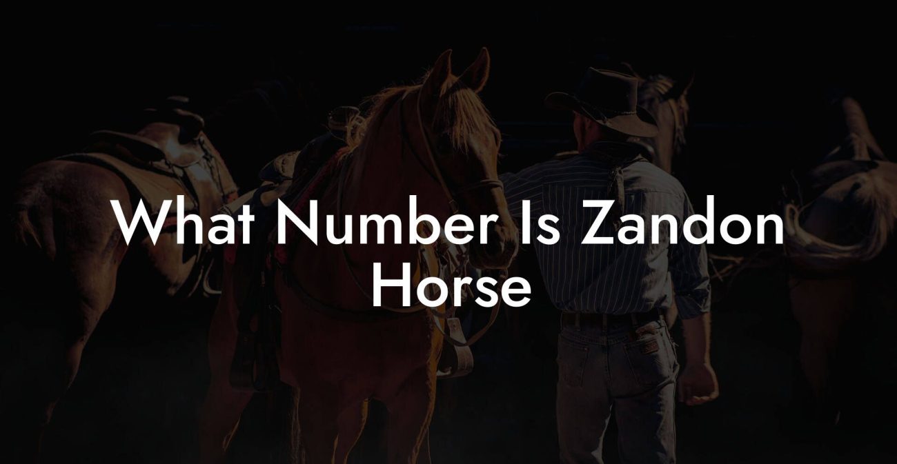 What Number Is Zandon Horse