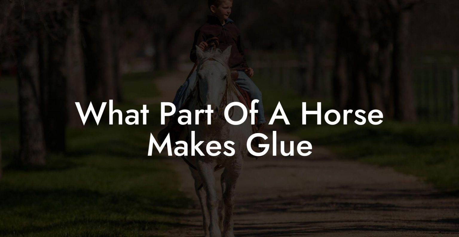 What Part Of A Horse Makes Glue How To Own a Horse