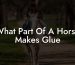 What Part Of A Horse Makes Glue
