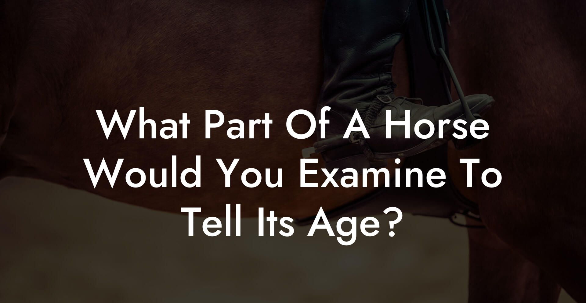 What Part Of A Horse Would You Examine To Tell Its Age?