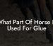 What Part Of Horse Is Used For Glue