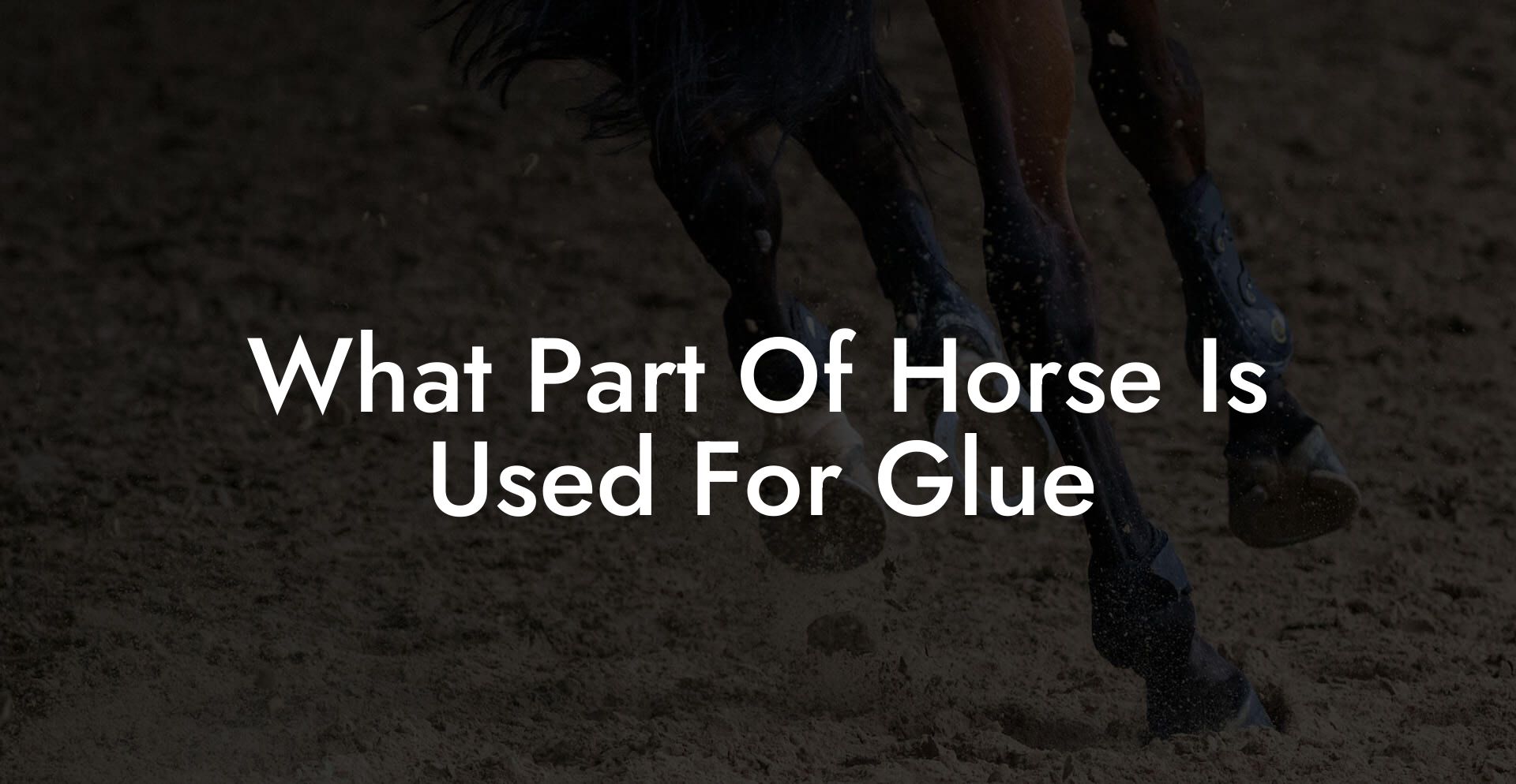 What Part Of Horse Is Used For Glue