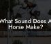 What Sound Does A Horse Make?