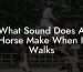 What Sound Does A Horse Make When It Walks