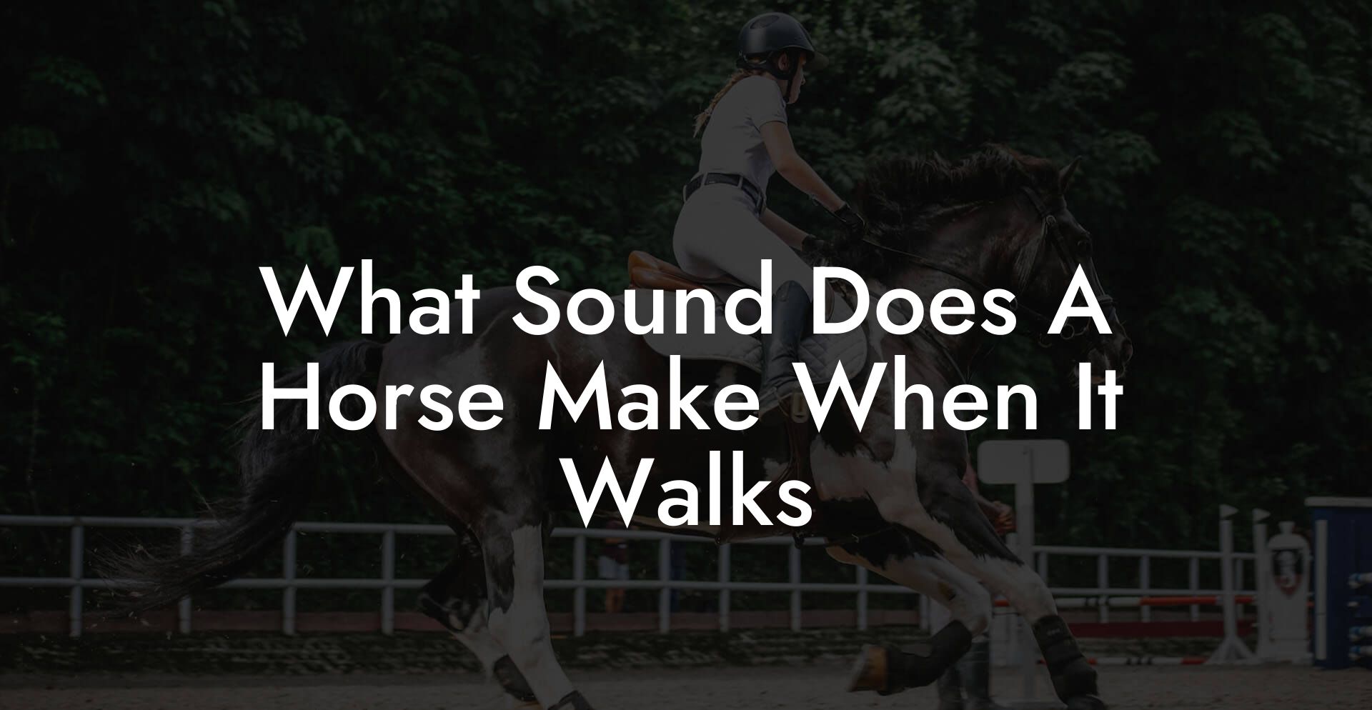 What Sound Does A Horse Make When It Walks