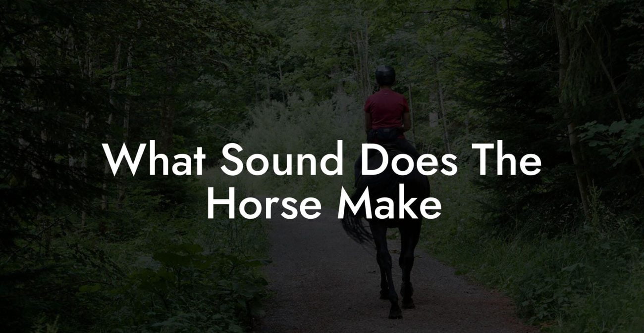 What Sound Does The Horse Make