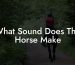 What Sound Does The Horse Make