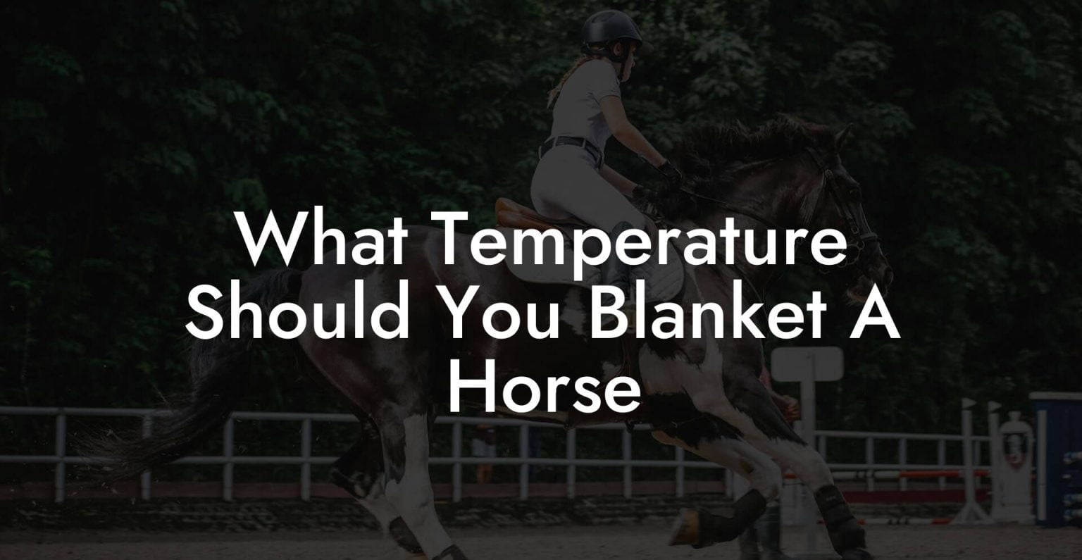 What Temperature Should You Blanket A Horse How To Own a Horse
