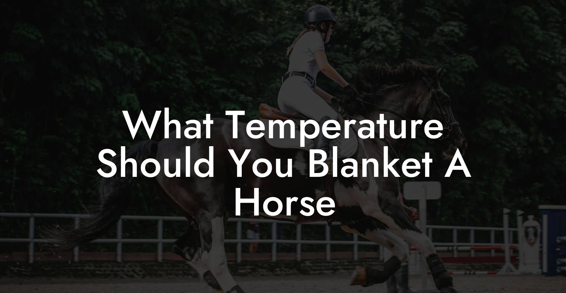 What Temperature Should You Blanket A Horse