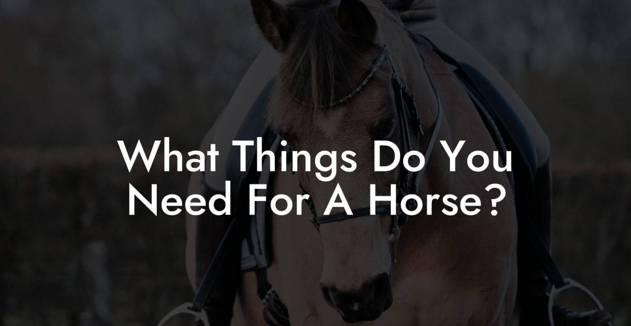 What Things Do You Need For A Horse?