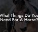 What Things Do You Need For A Horse?