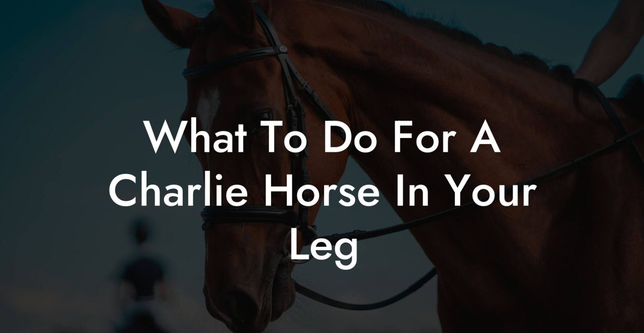 What To Do For A Charlie Horse In Your Leg