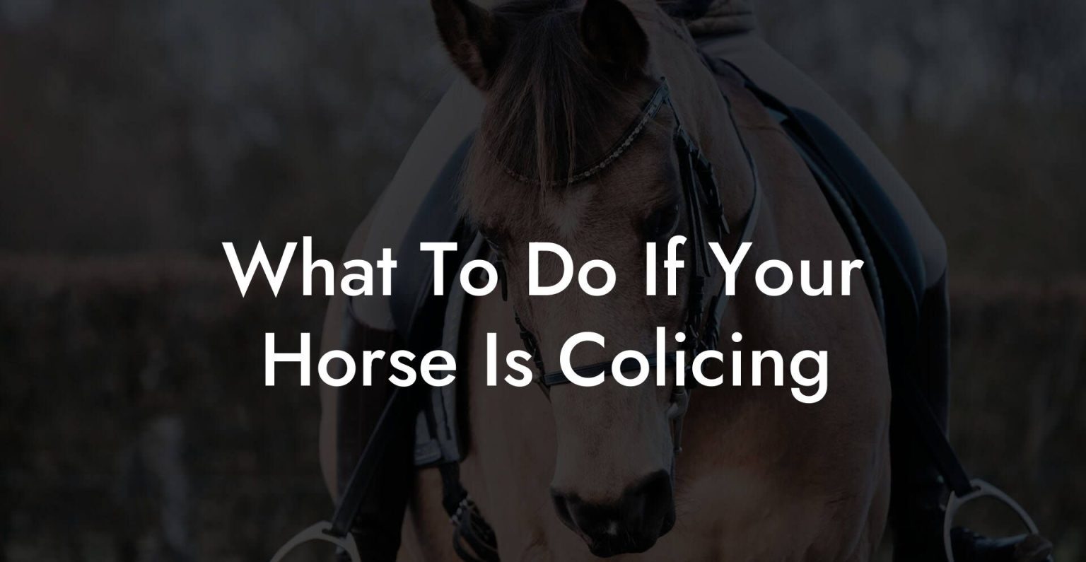 How much land do you need for a horse how to own a horse