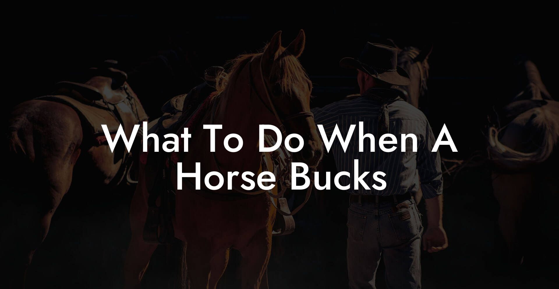 What To Do When A Horse Bucks