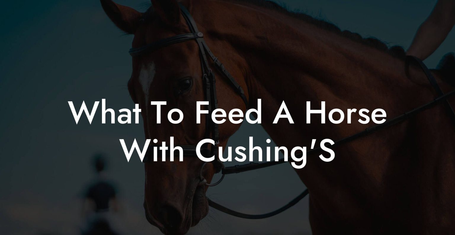 What To Feed A Horse With Cushing'S How To Own a Horse