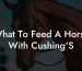 What To Feed A Horse With Cushing'S
