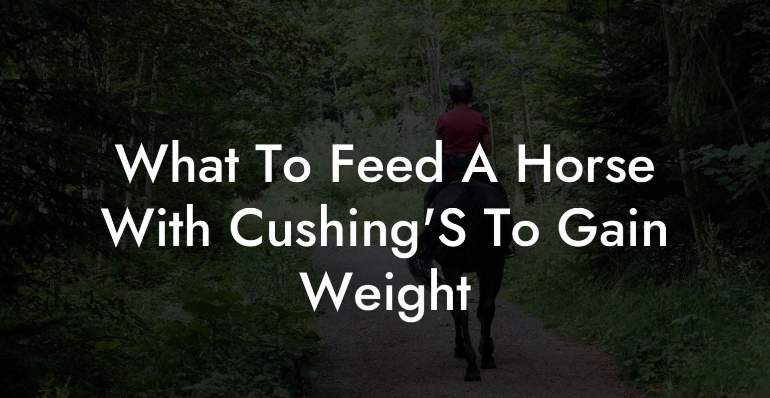 What To Feed A Horse With Cushing'S To Gain Weight How To Own a Horse