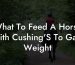 What To Feed A Horse With Cushing'S To Gain Weight