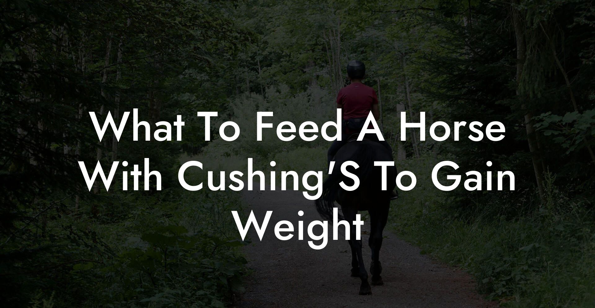 What To Feed A Horse With Cushing'S To Gain Weight