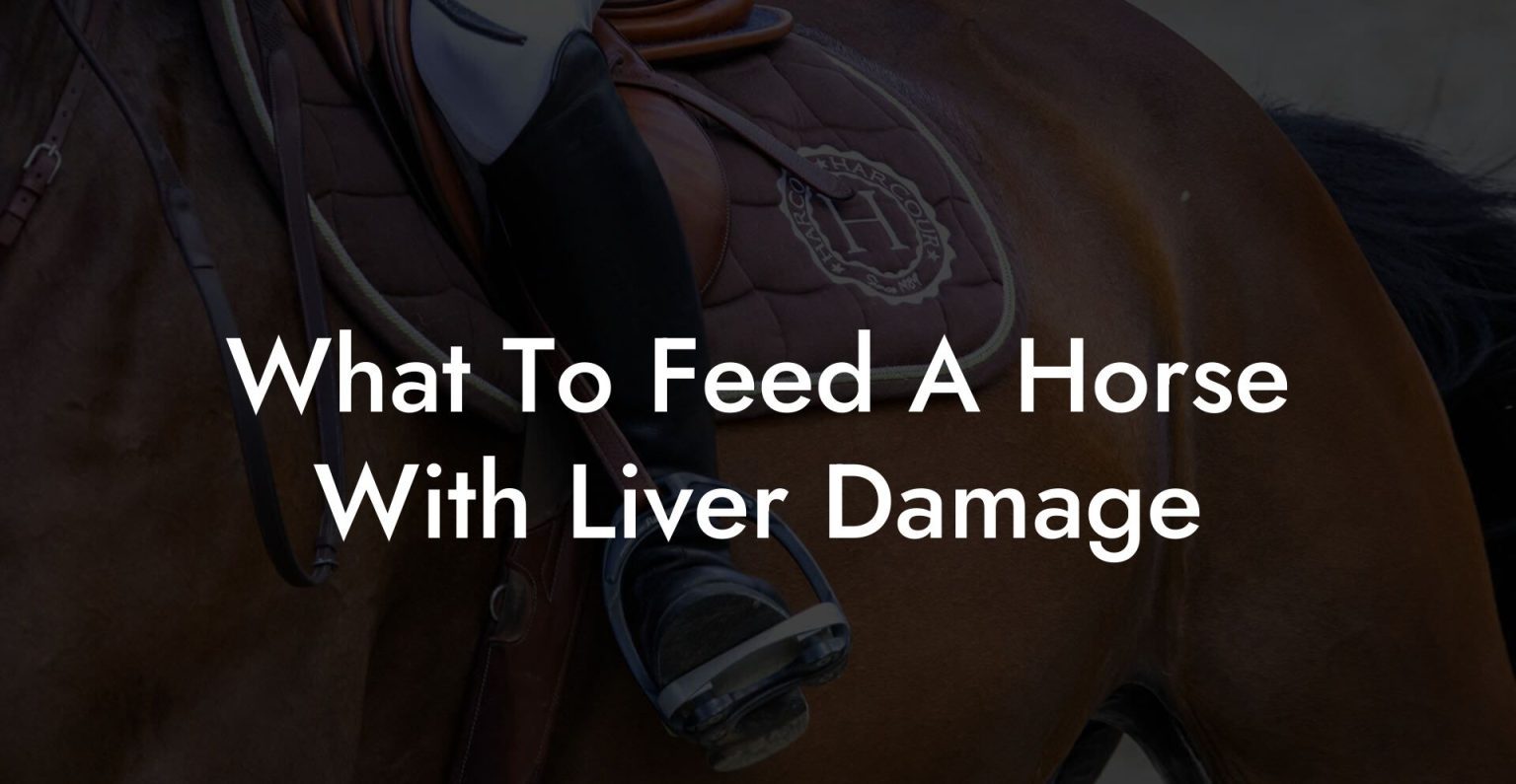What To Feed A Horse With Liver Damage How To Own a Horse