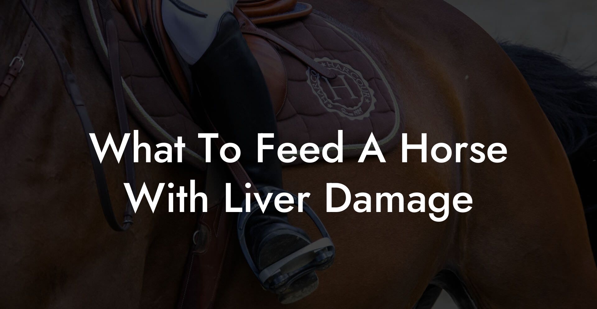 What To Feed A Horse With Liver Damage